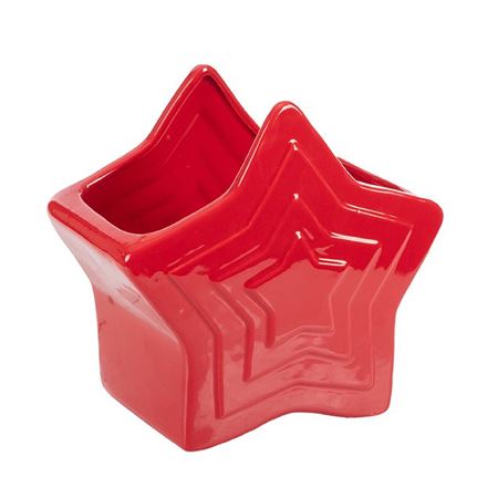 Xmas. Stella P.fiori 25x13h.23.5cm - Rosso