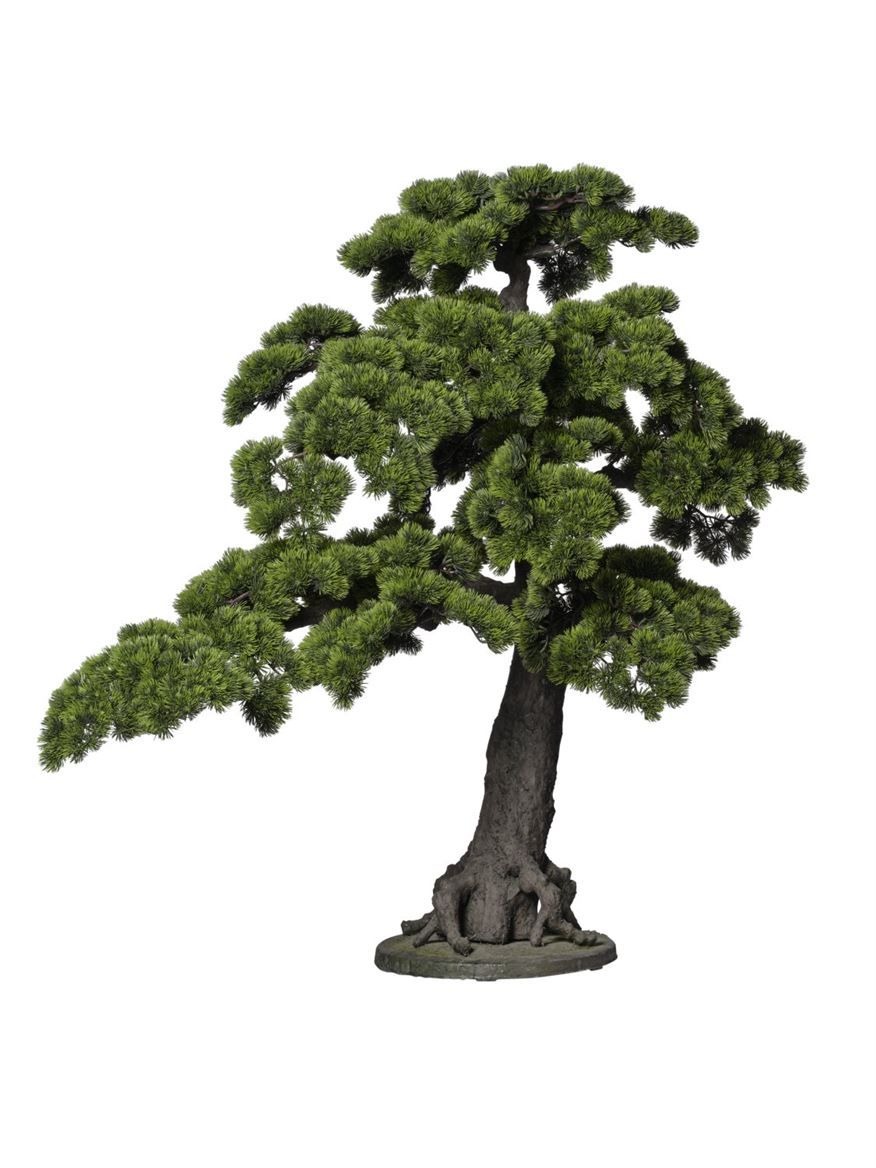 Art. Pianta Bonsai Pino 130x70x115cm Green