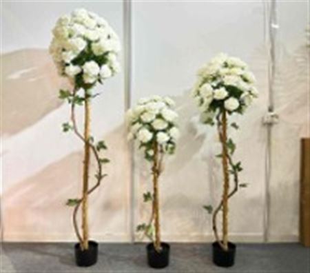 Art. Pianta Rose Con Tronco H150cm - White