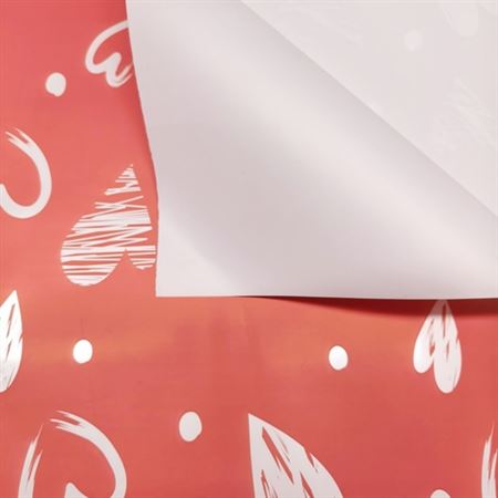 Paper. Film 137 Cm 57 X 57 (20pz)