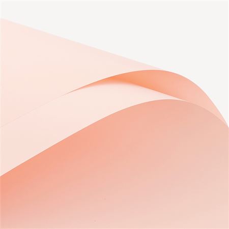 Paper. Film 169 Cm 57 X 57 (20pz) - Champagne