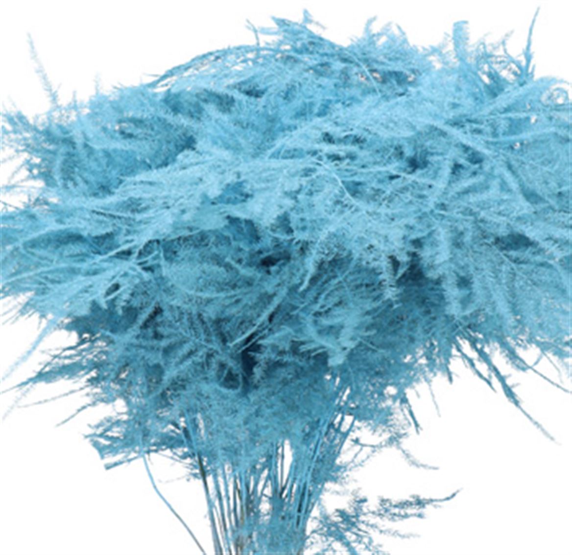 Plumoso Neve Light Blue