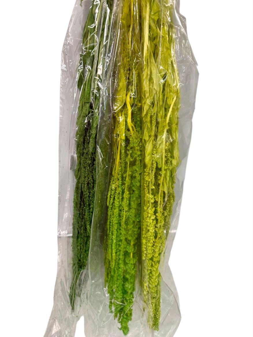 Preserved Amaranthus Green Mix - 130 Gr.