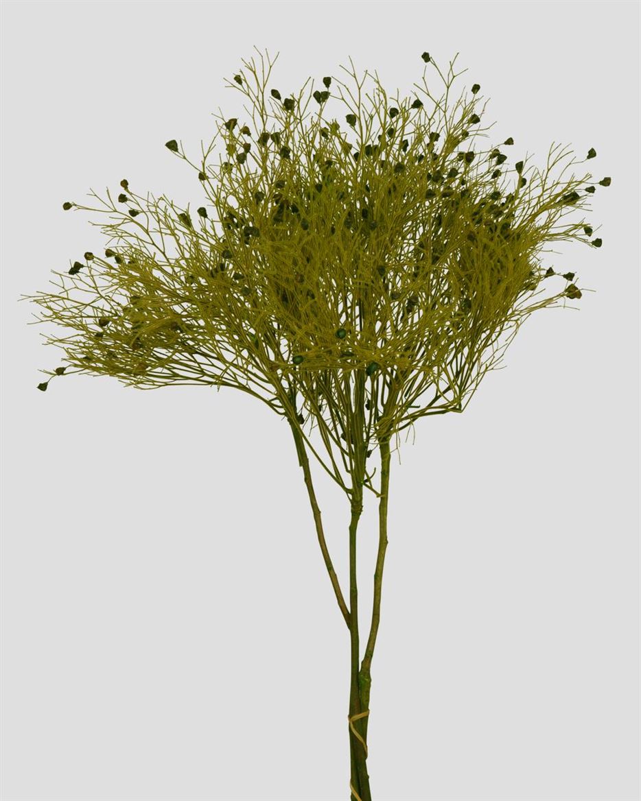 Preserved Dream Grass Light Green - 100 Gr.