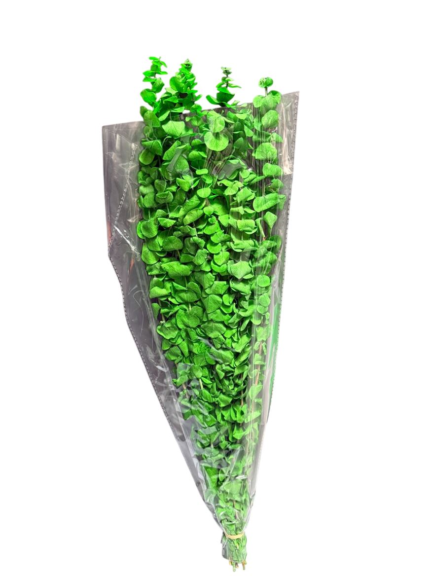 Preserved Eucalyptus Baby Blu - Apple Green 150gr
