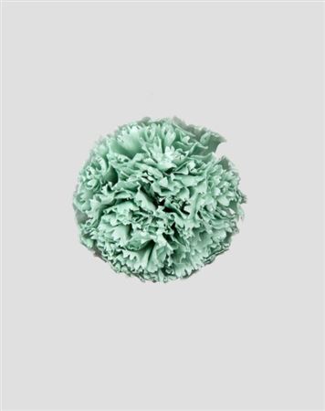 Preserved Garofano 8pz - Dusty Green - D.5-6cm H.6