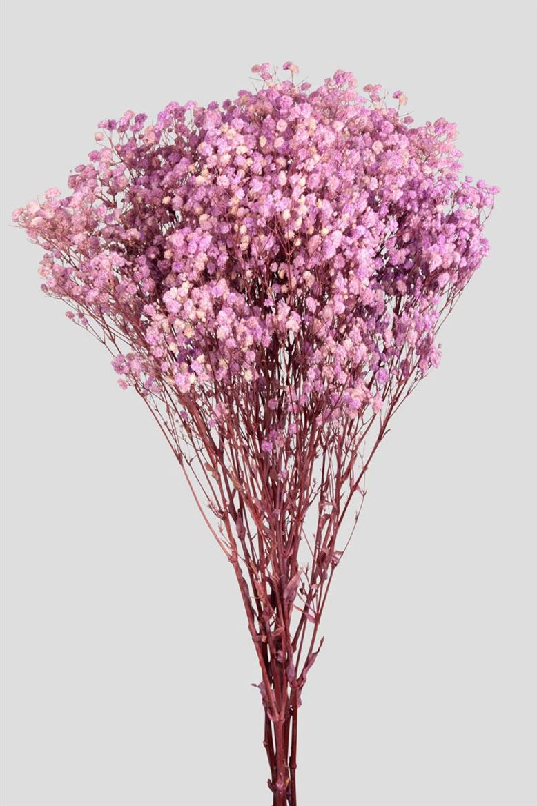 Preserved Gypsophila Light Pink- 120 Gr.