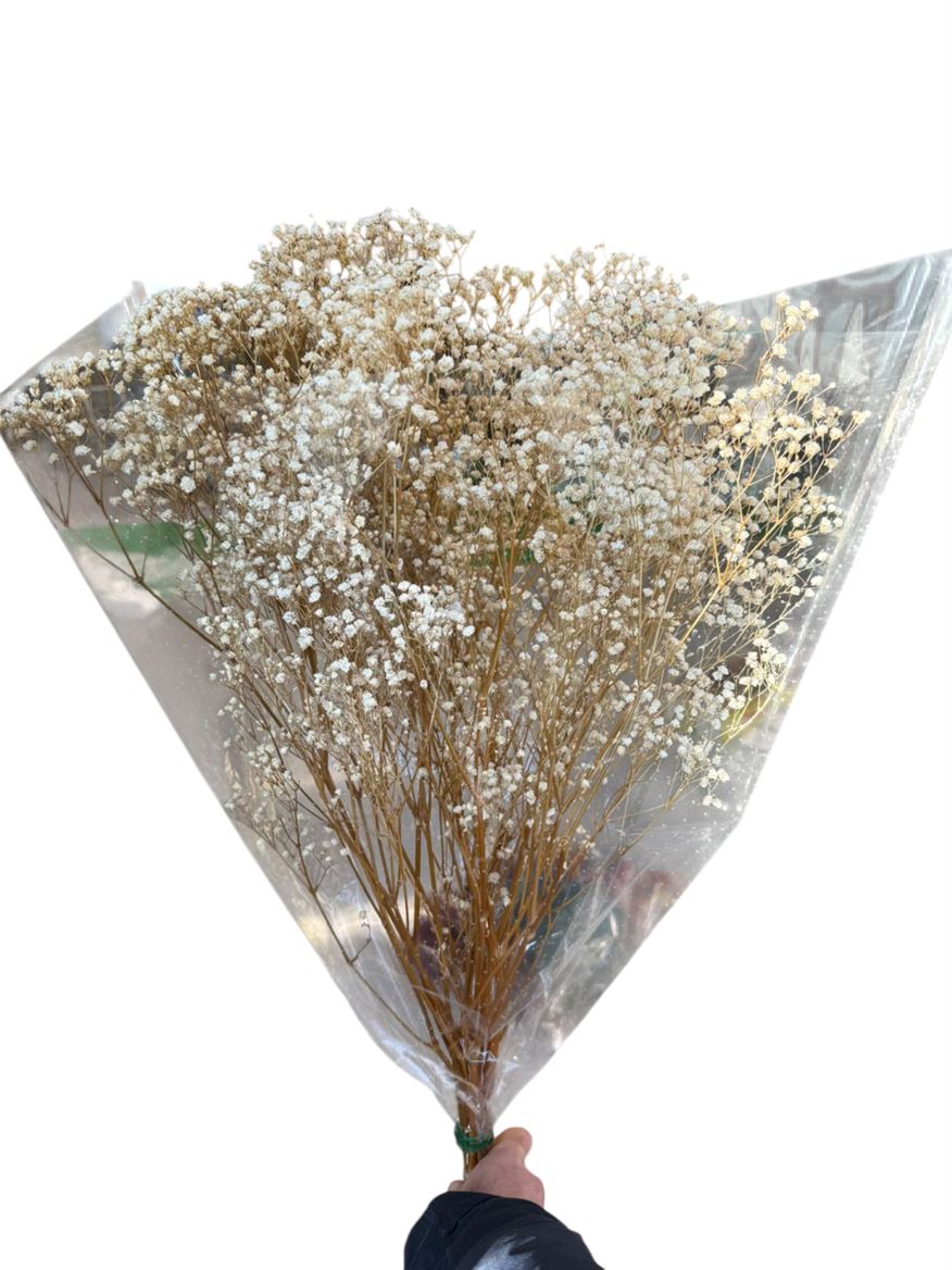 Preserved Gypsophila - Natural White - 120 Gr.