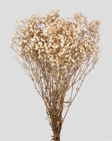 Preserved Gypsophila Natural White - 120 Gr.