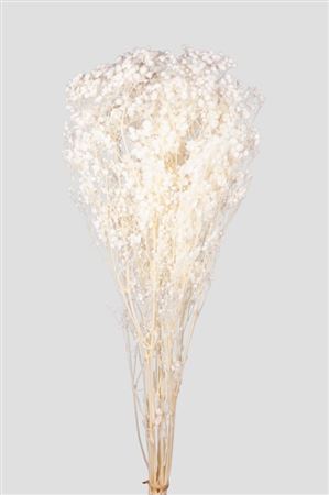 Preserved Gypsophila Total White - 120 Gr.