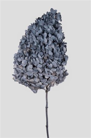 Preserved Hydrangea Peegee - Grey Blue D.15cm