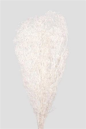 Preserved Mini Gypsophila - White - 100 Gr.