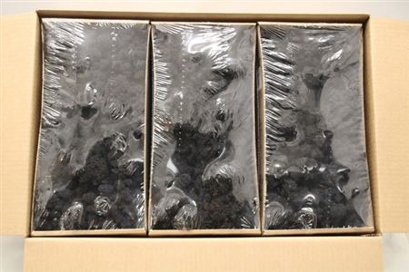Preserved Muschio Iceland Paint Black - 500 Gr.