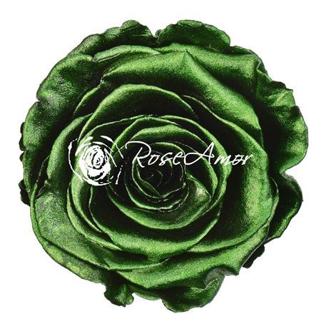 Preserved Rosa Ll Metallic Green