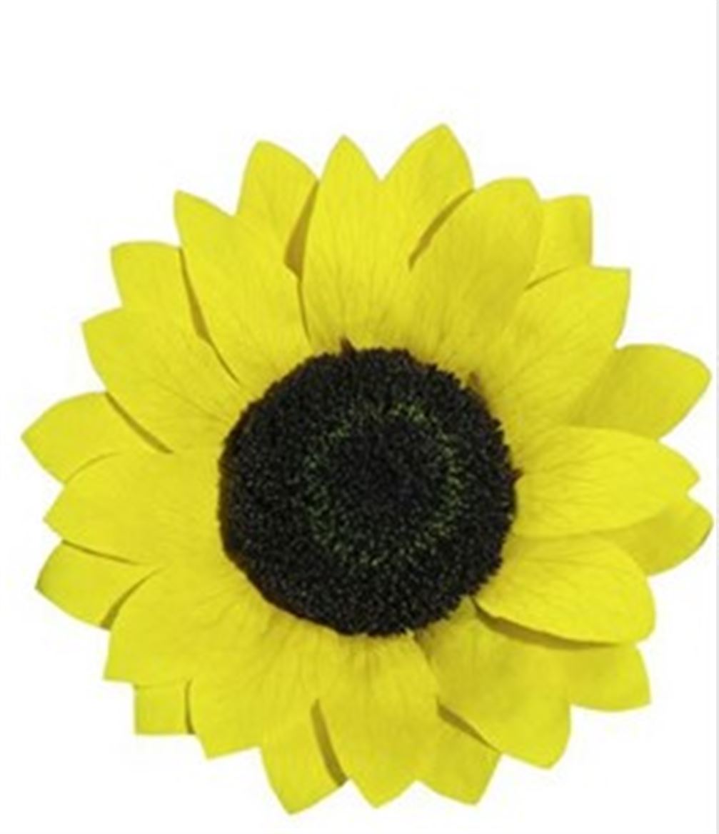 Preserved Sunflower Warmi Yel 02