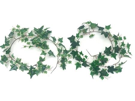 Art. Ghirlanda Edera 150cm - Variegated