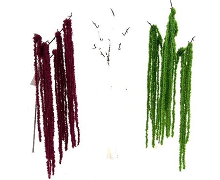 Art. Ramo Amaranthus 122cm - Burgundy