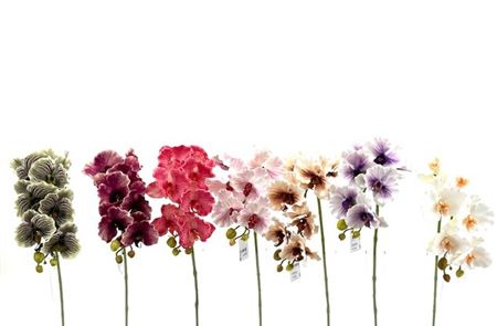 Art. Ramo Phalaenopsis X7 76cm - Lavender White