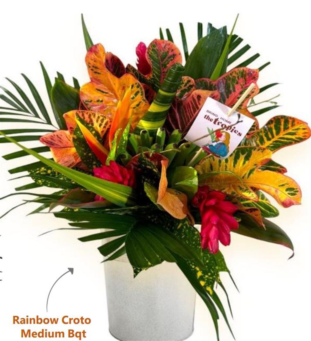 Bouquet Medium Rainbow Croto