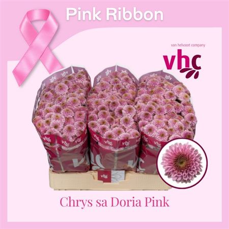 Chrys Sa Doria Pink