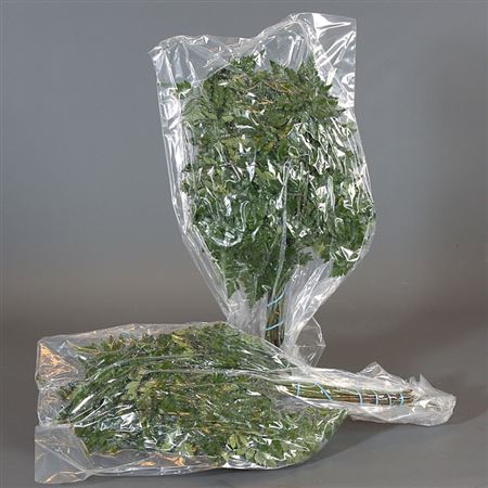 Verde Felce Cuoio Small Vac X20