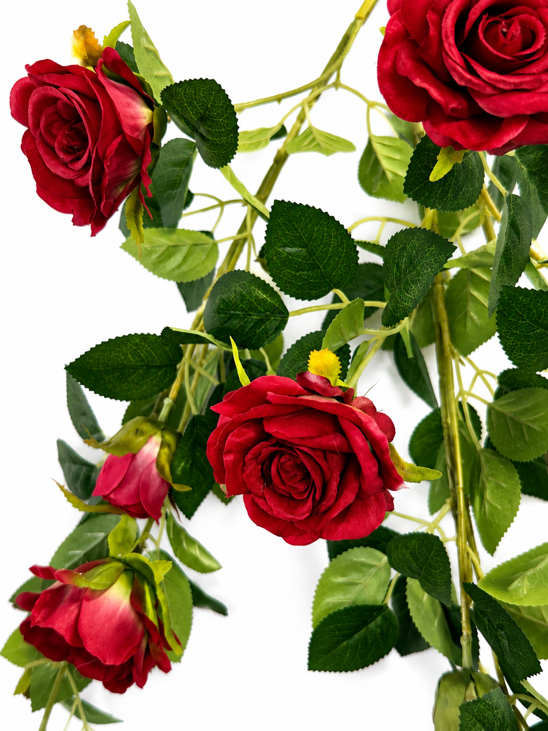 Art. Cadente Rose Cm110 Red