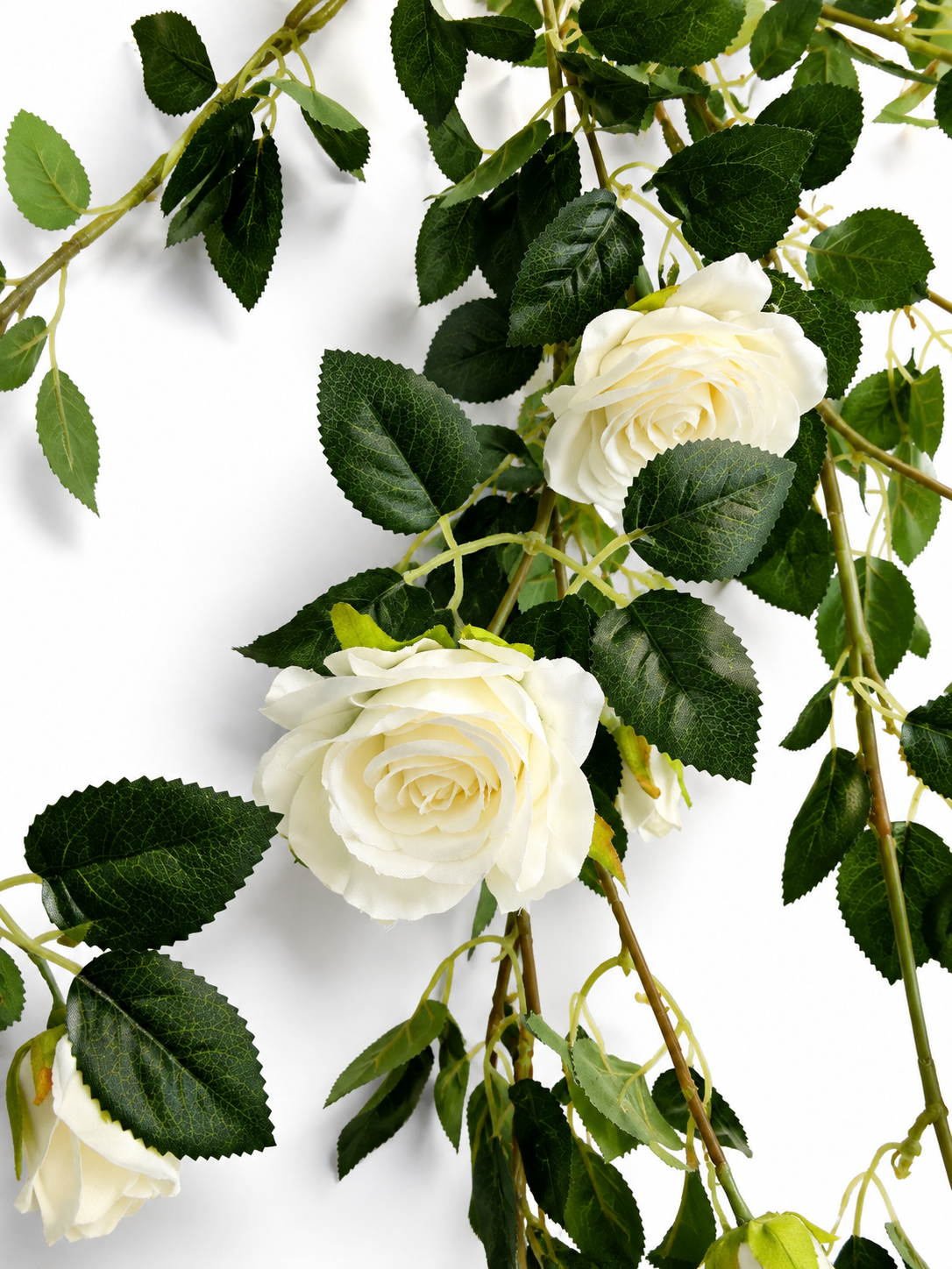 Art. Cadente Rose Cm110 Cream