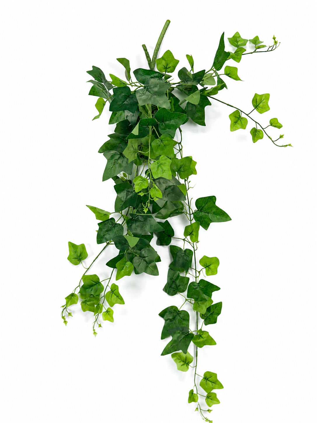 Art. Cadente Foglie Cm90 Pothos Green
