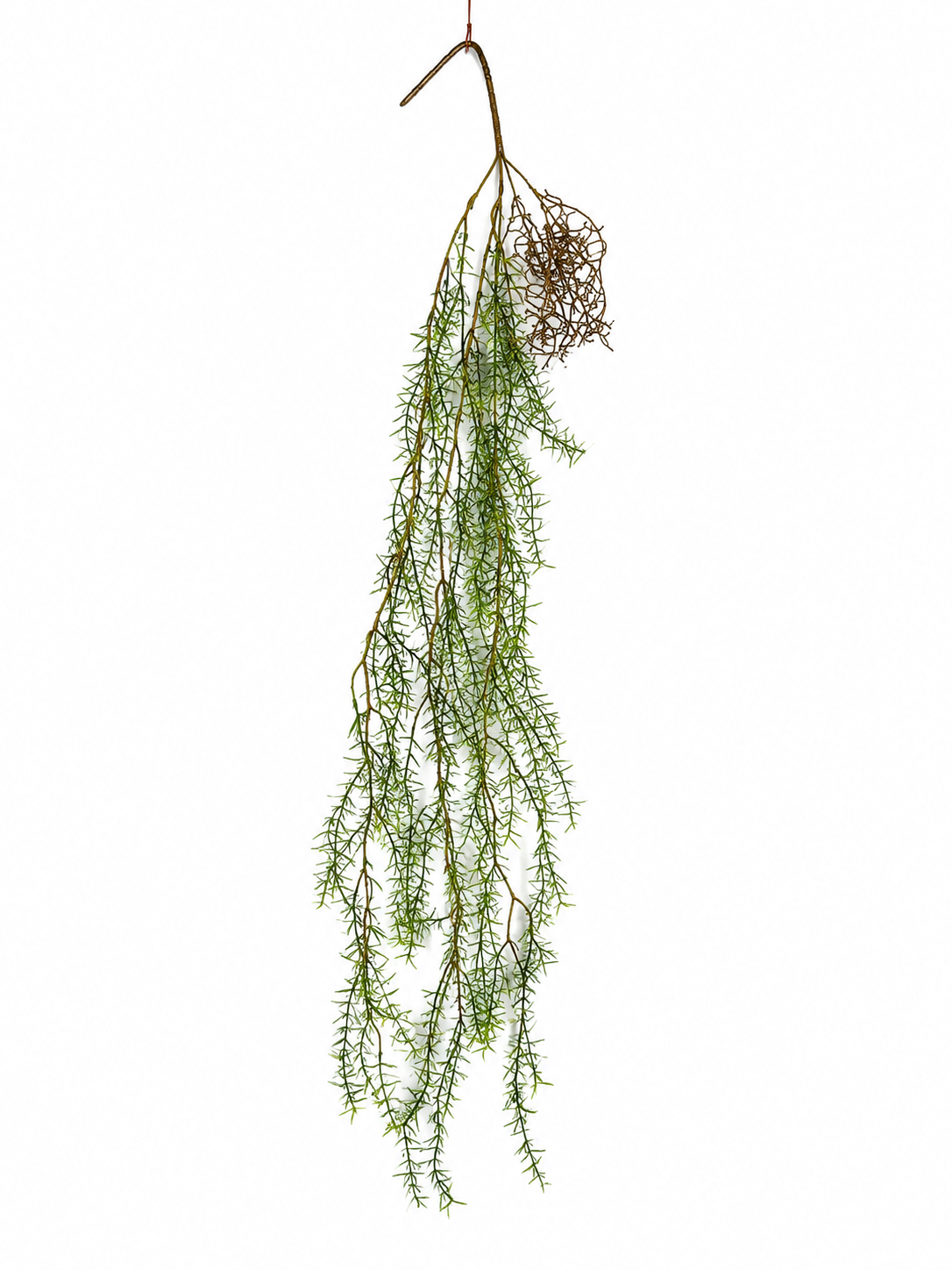 Art. Cadente Ramo Springeri Hanging 136cm - Mix Co