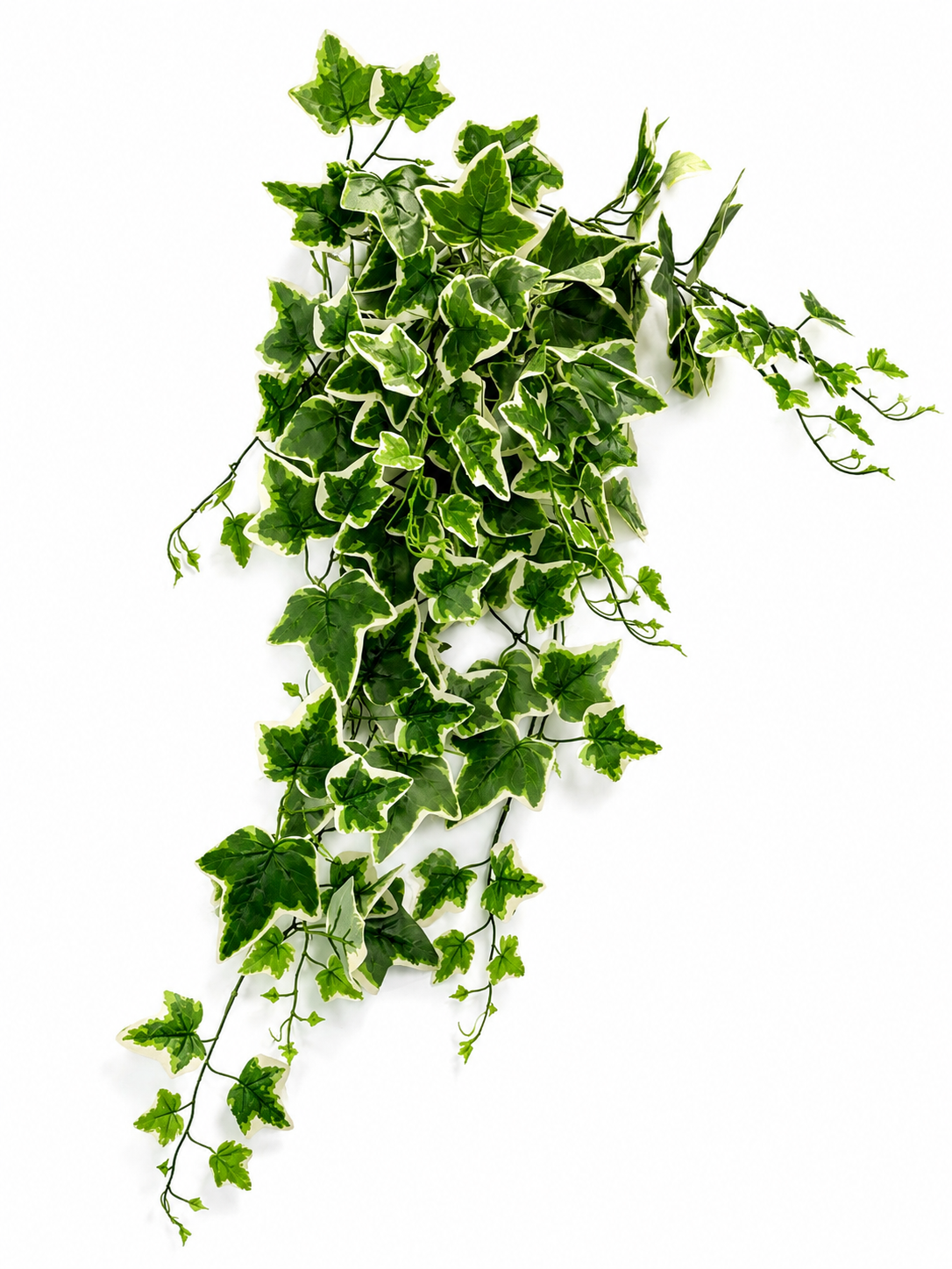 Art. Cadente Foglie Cm90 Ivy Variegated
