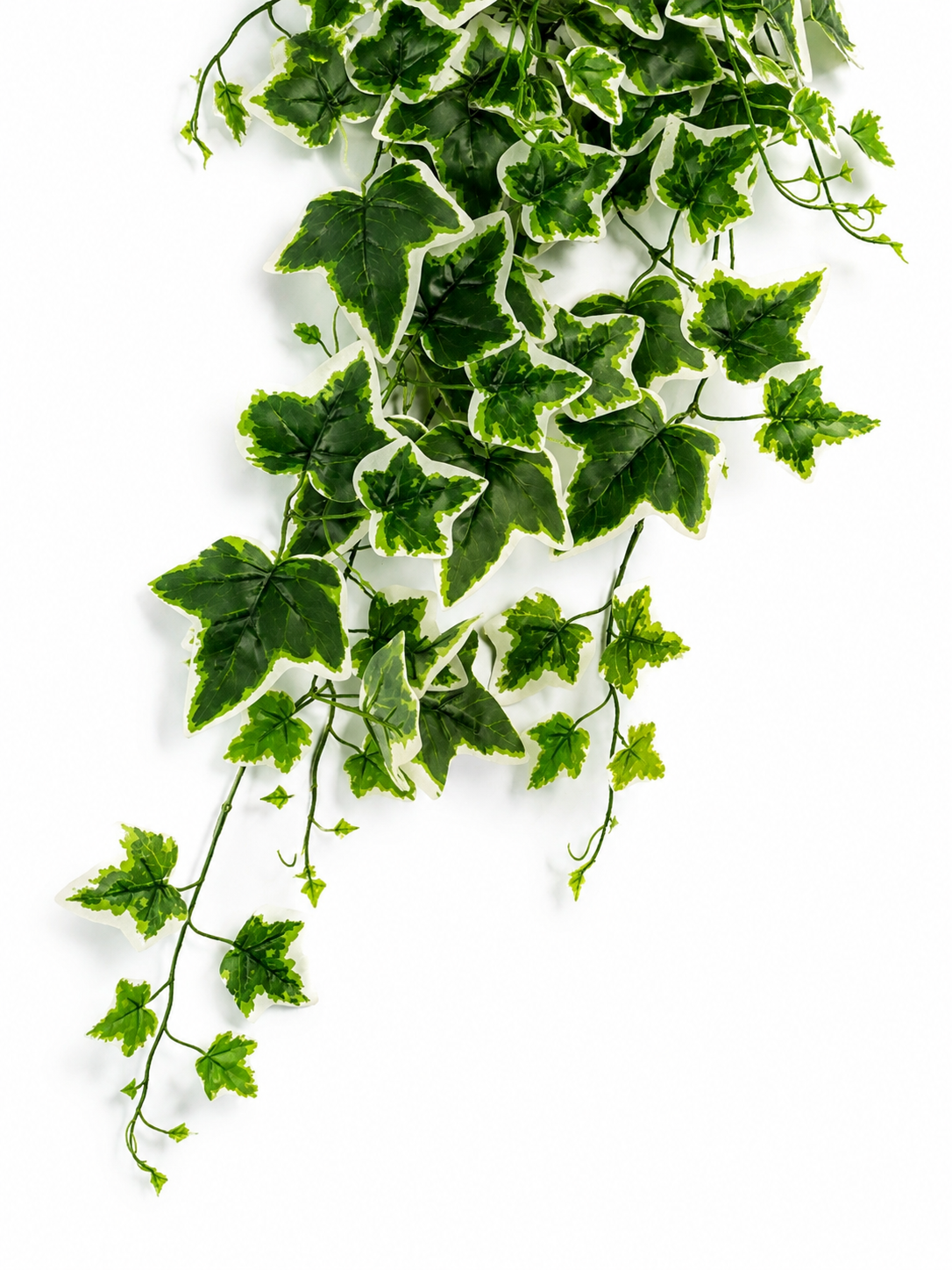 Art. Cadente Foglie Cm90 Ivy Variegated
