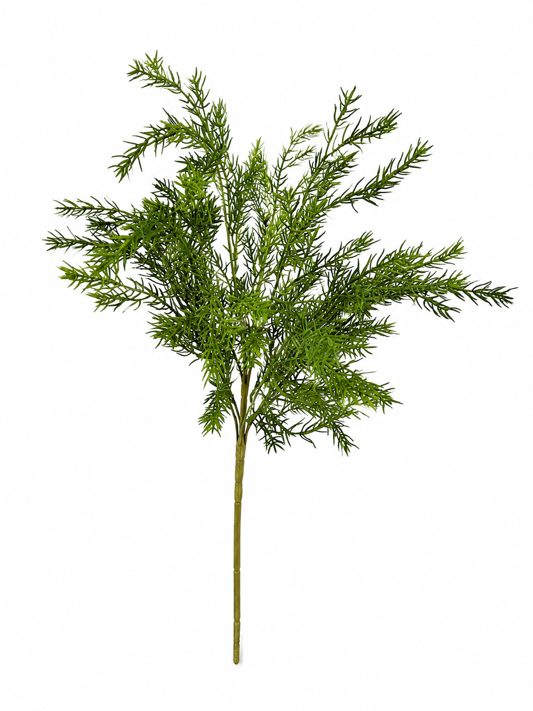 Art. Mazzo V Asparagus Bush 60cm - Green Red