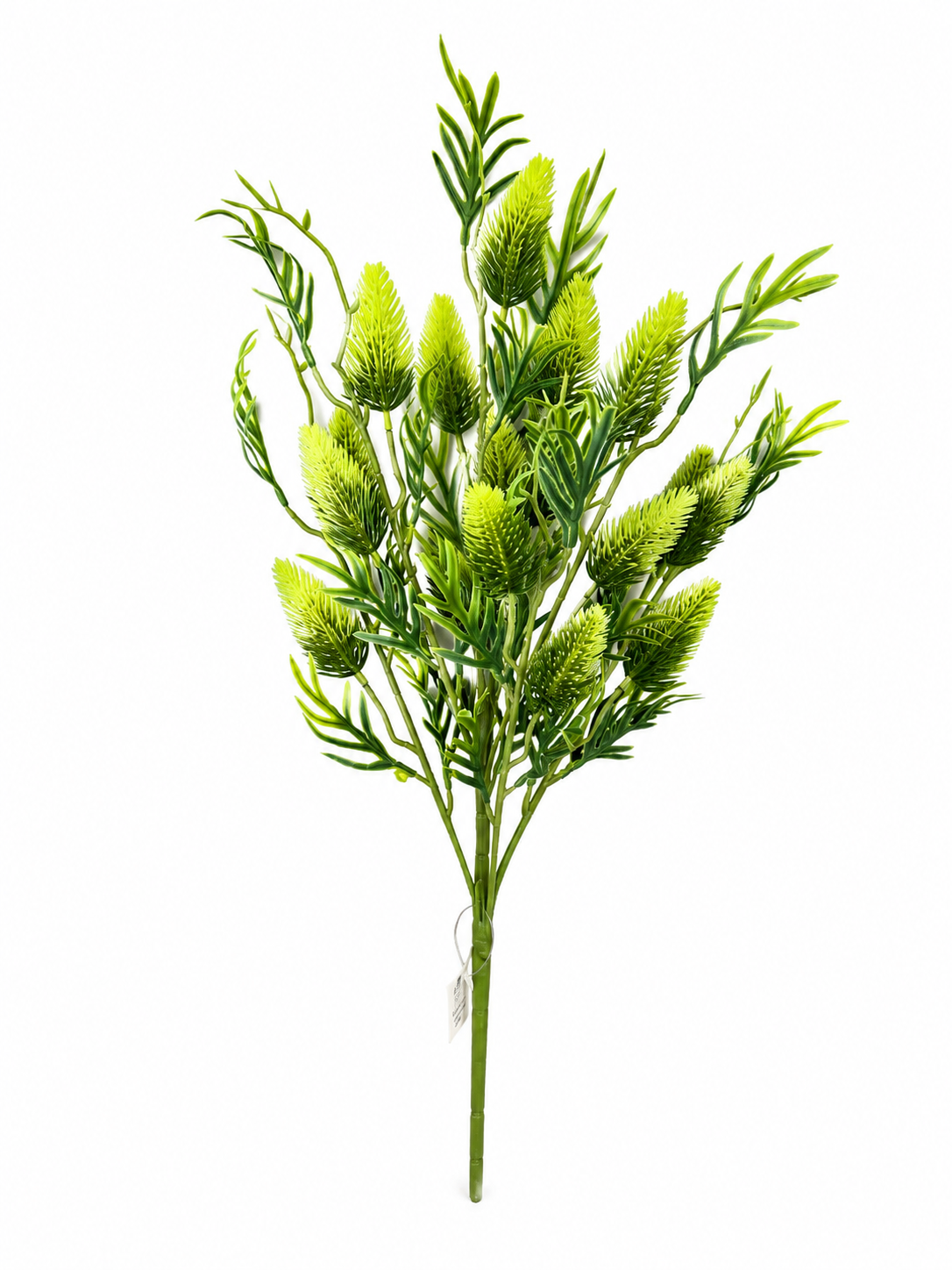 Art. Mazzo V Cactus Bush - Green