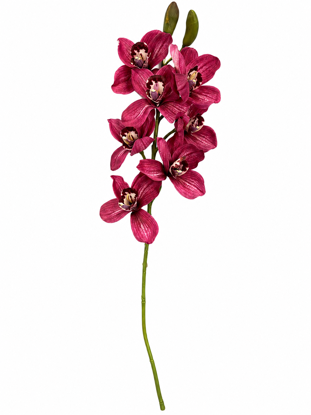 Art. Ramo Cymbidium Cm74 Beauty