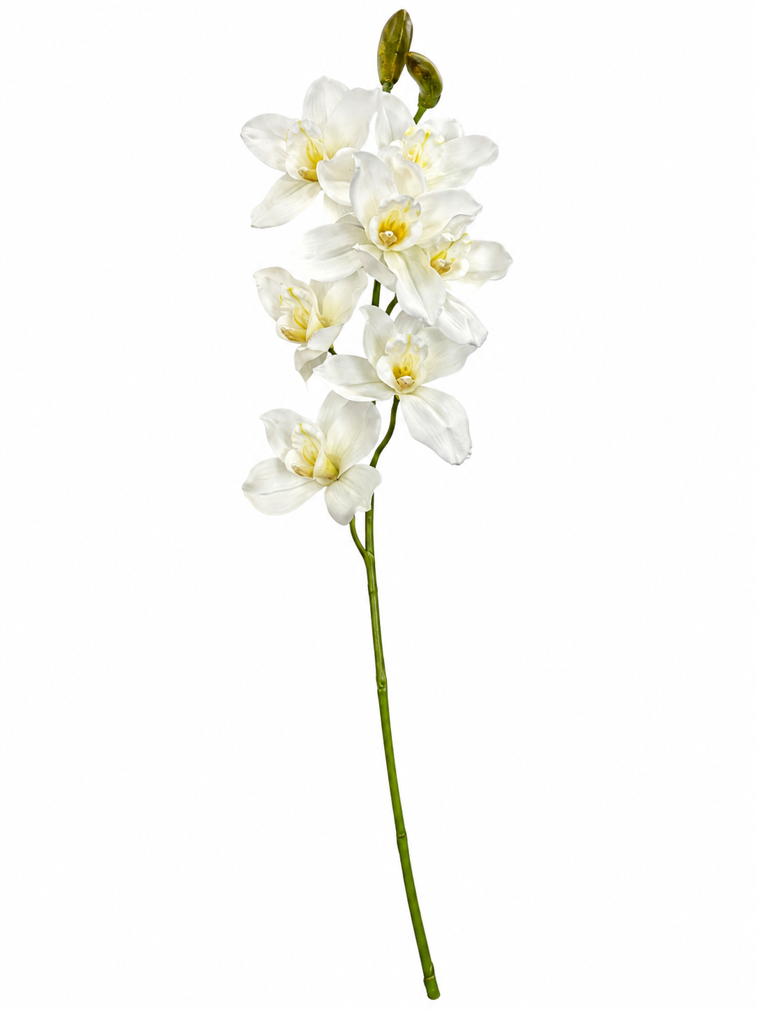 Art. Ramo Cymbidium Cm74 Cream