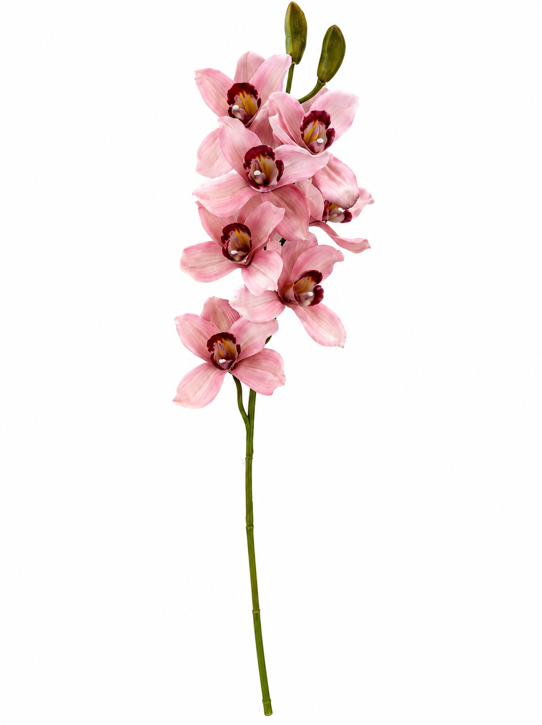 Art. Ramo Cymbidium Cm74 Pink