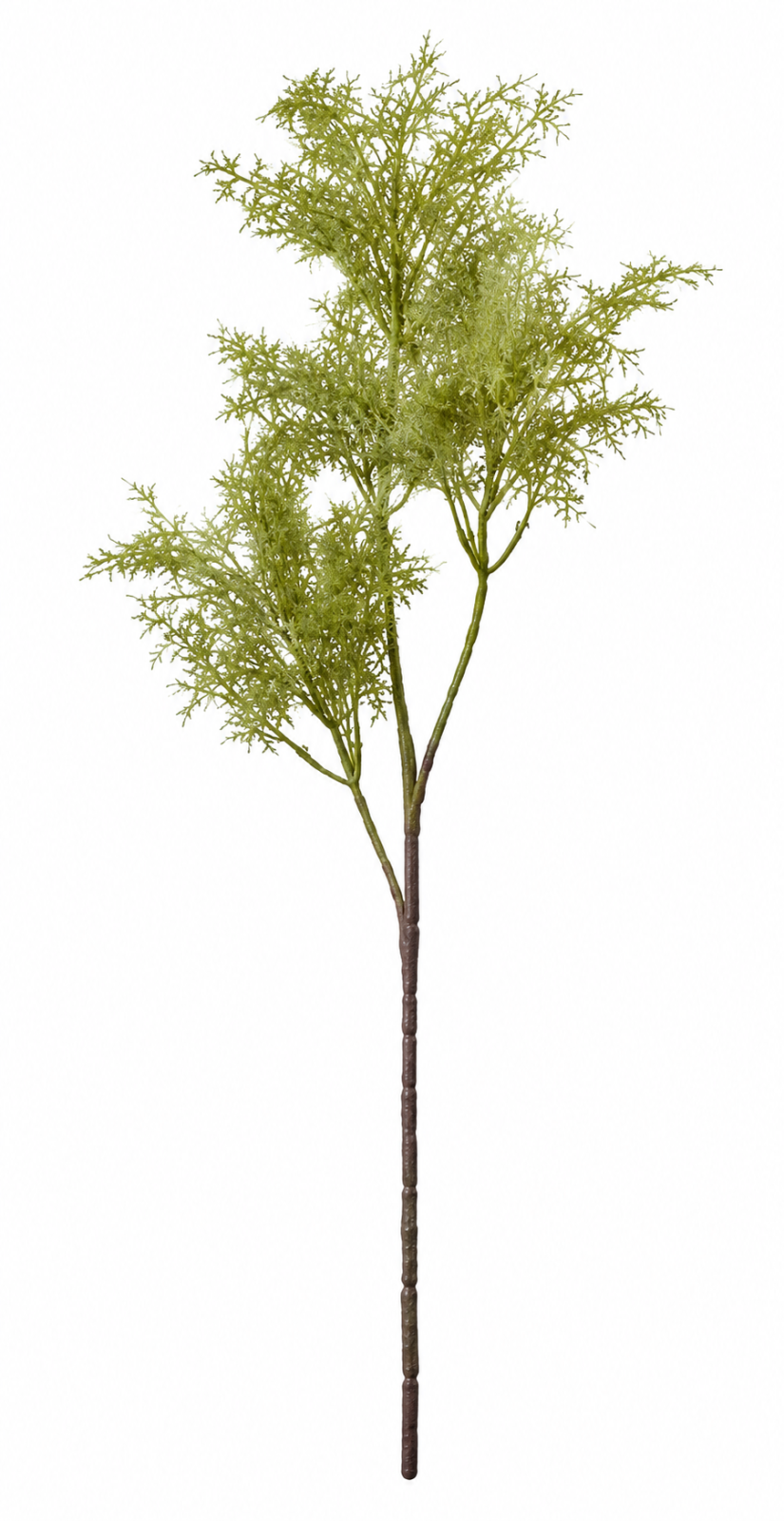 Art. Ramo Foglia Mimosa Cm95 Soft Lt. Green
