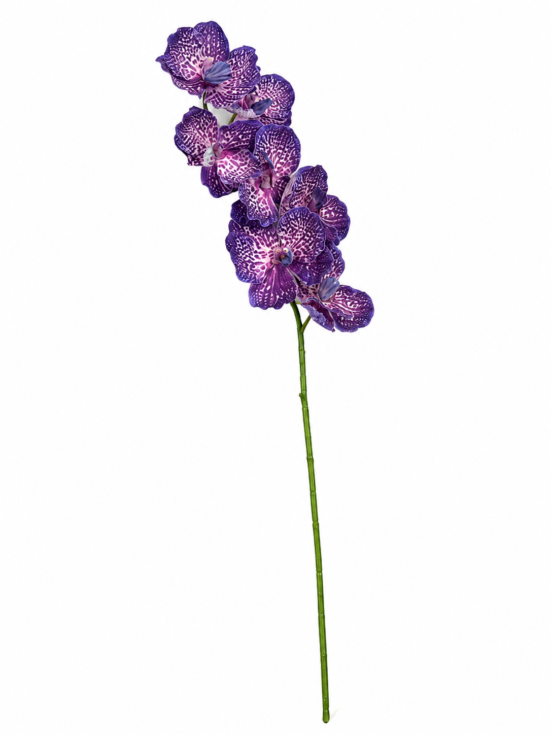 Art. Ramo Orchidea Vanda X7 Cm76 Purple