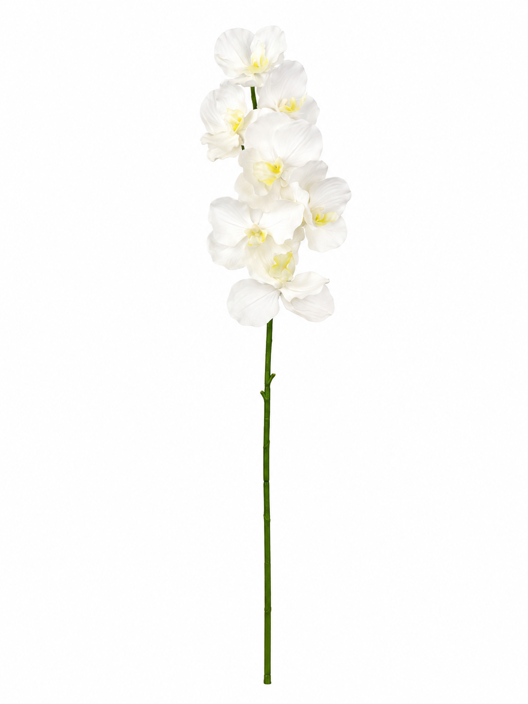 Art. Ramo Orchidea Vanda X7 Cm76 White