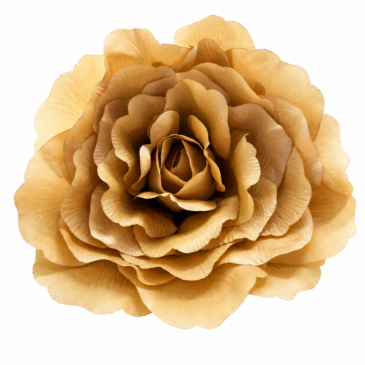 Art. Testa Rosa Xxl 55x55cm - Beige
