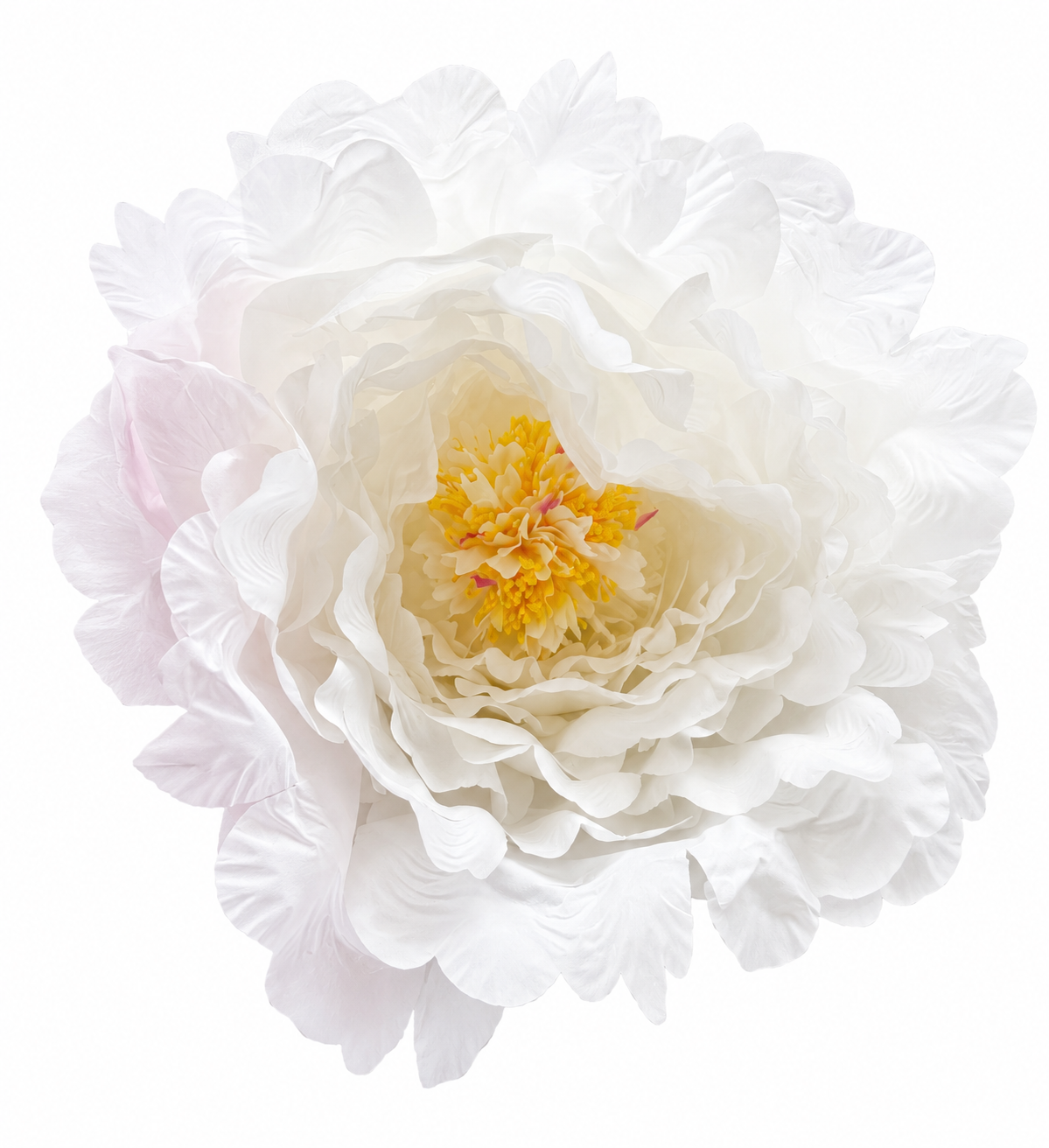Art. Testa Peonia Xxl D.48cm - Cream