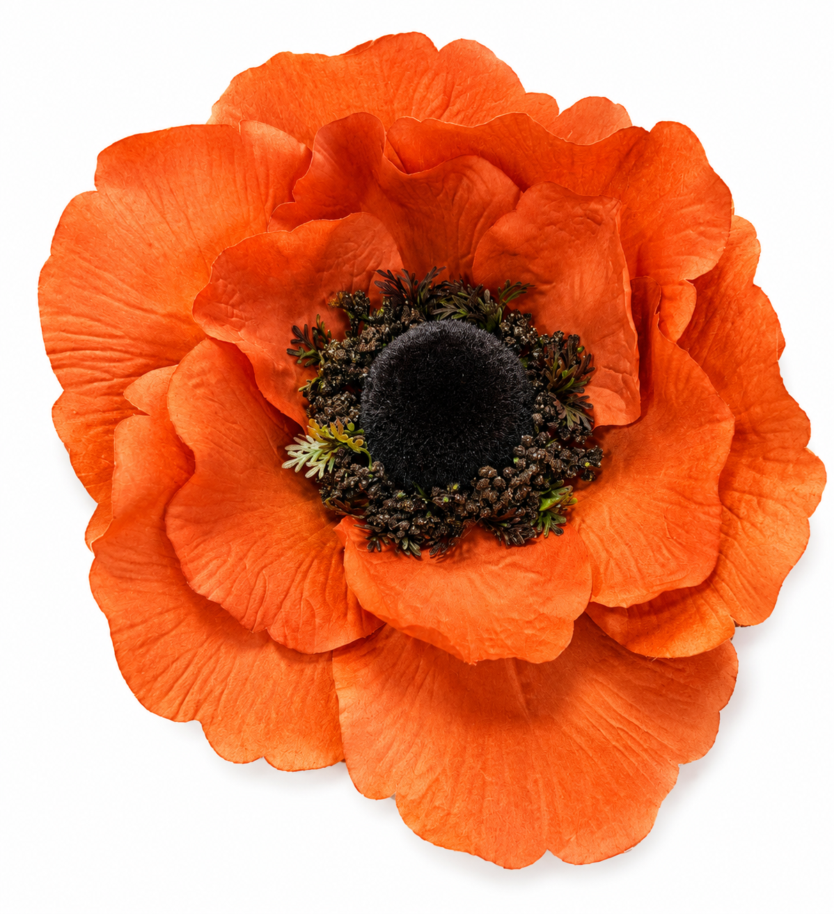 Art. Testa Anemone Xxl 40x40x15cm Old Pink