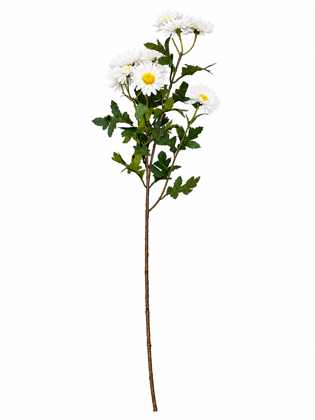 Art. Ramo Margherita X3 Cm64 Cream