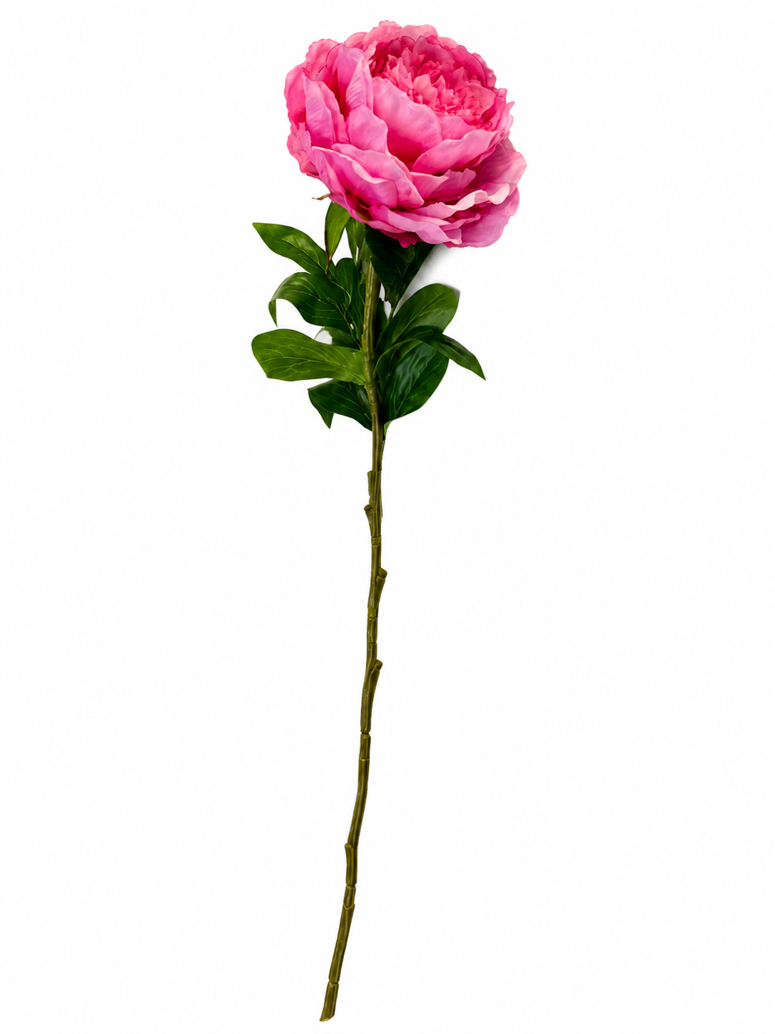 Art. Ramo Peonia Singola Cm60 Pink