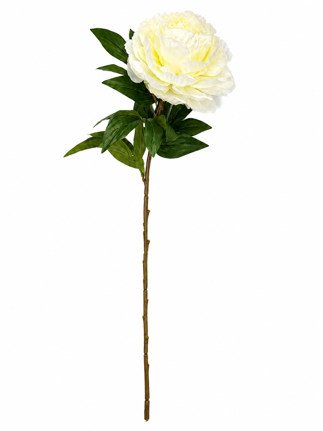 Art. Ramo Peonia Singola Cm60 Cream