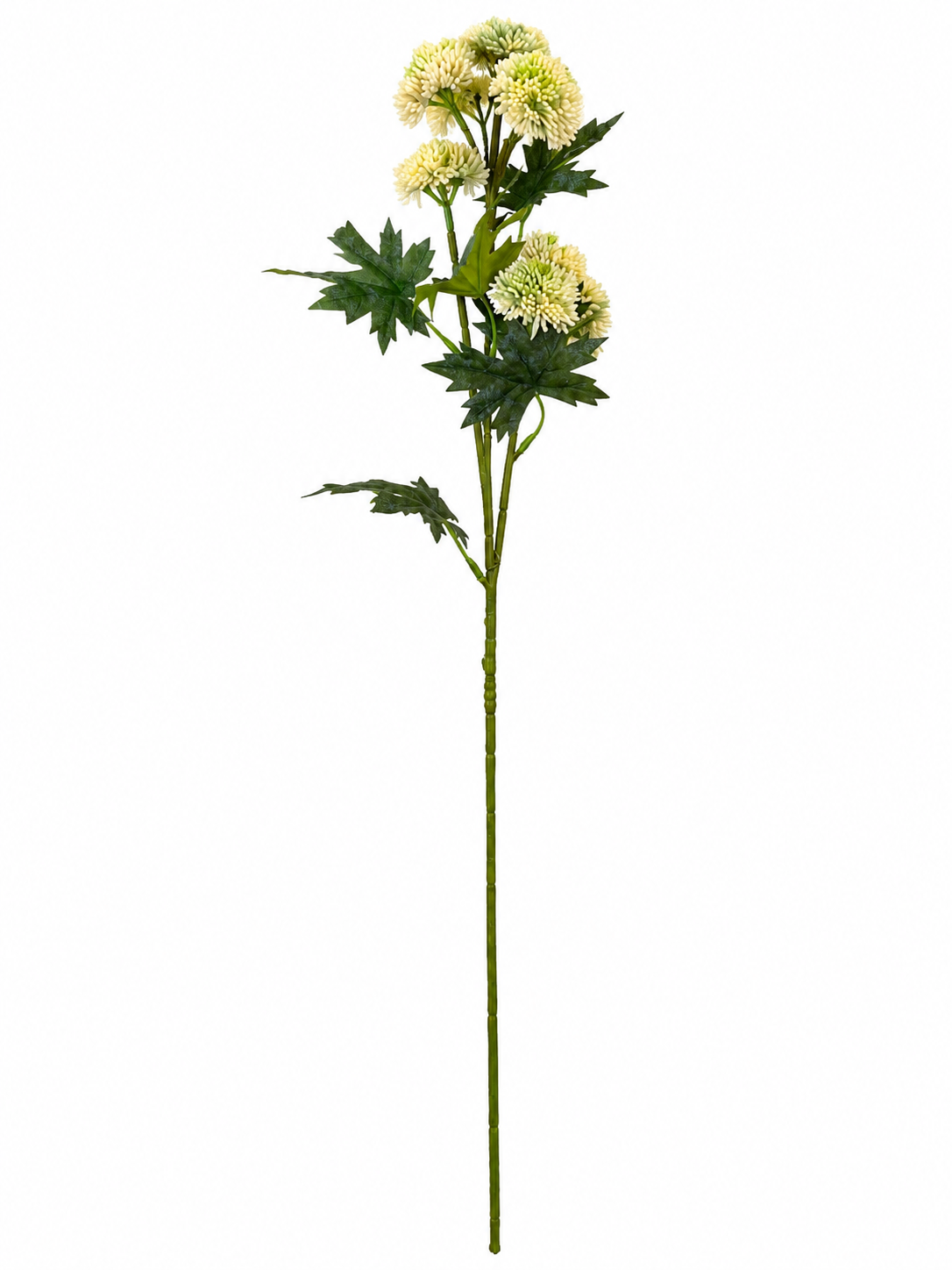 Art. Ramo Mini Allium Spray X3 70cm - Wh. Green
