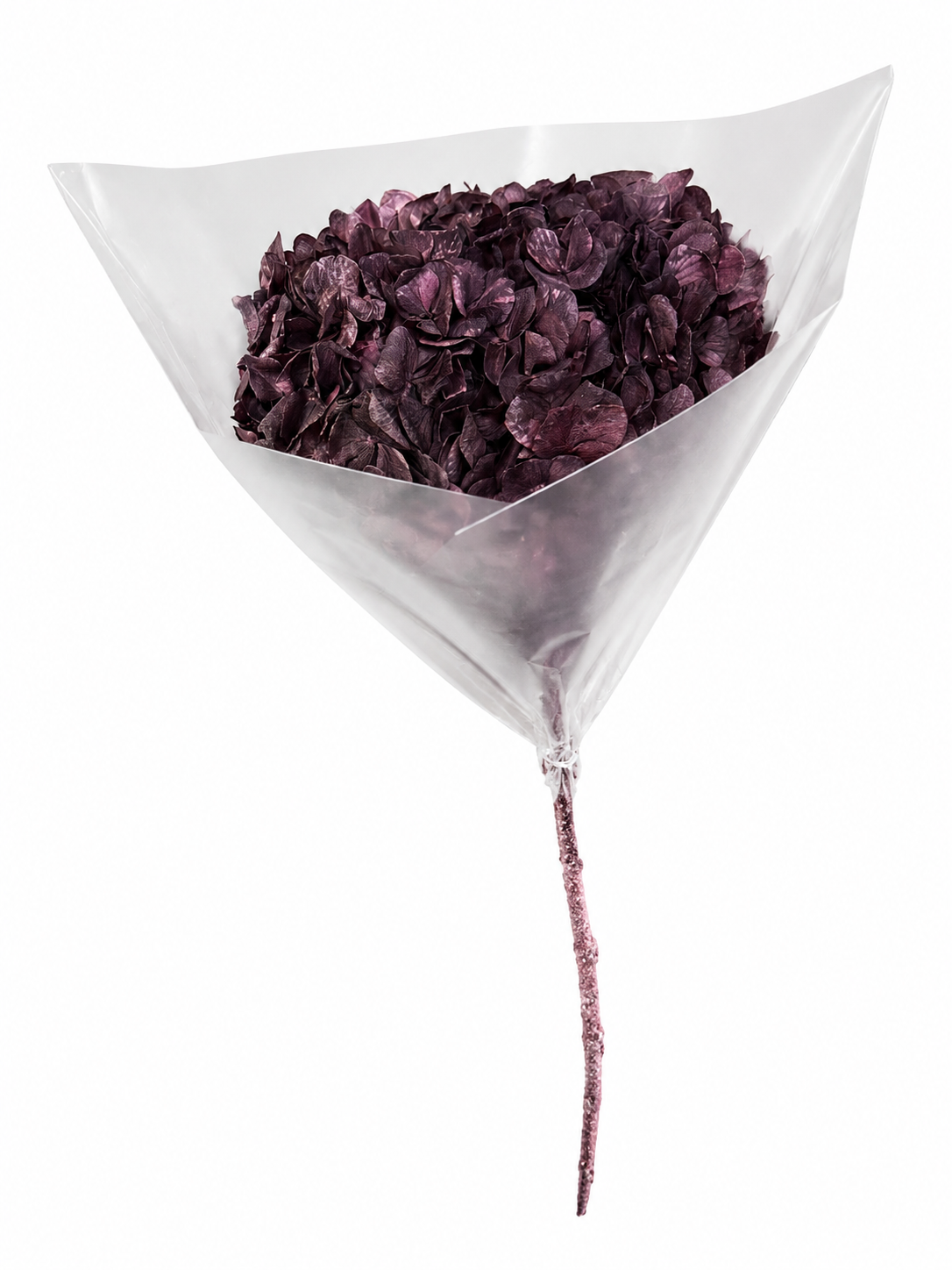 Preserved Hydrangea Big Leaf - Brown Grape