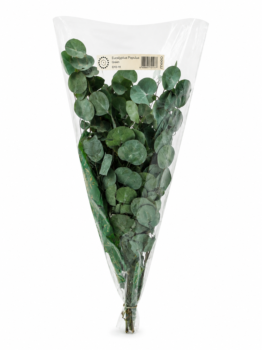 Preserved Eucalyptus Populus - Verde 150gr