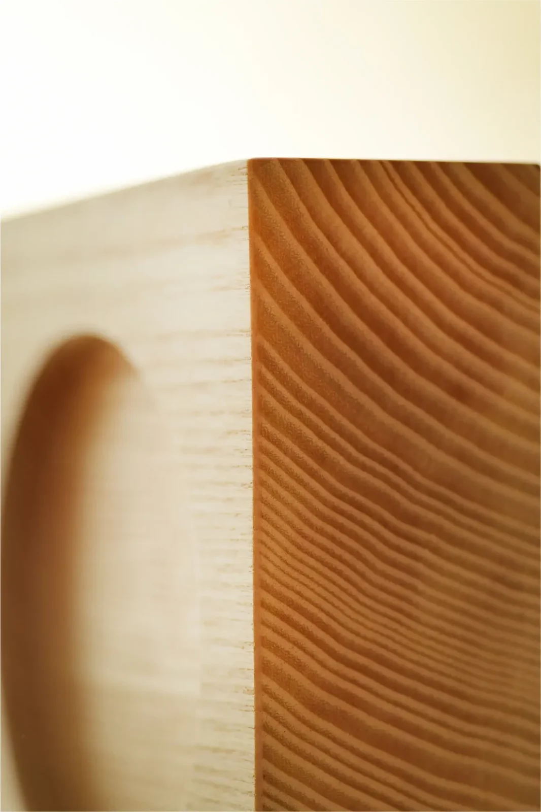 Prof. Espositore Legno Frassino Xl 15x15x5.3cm