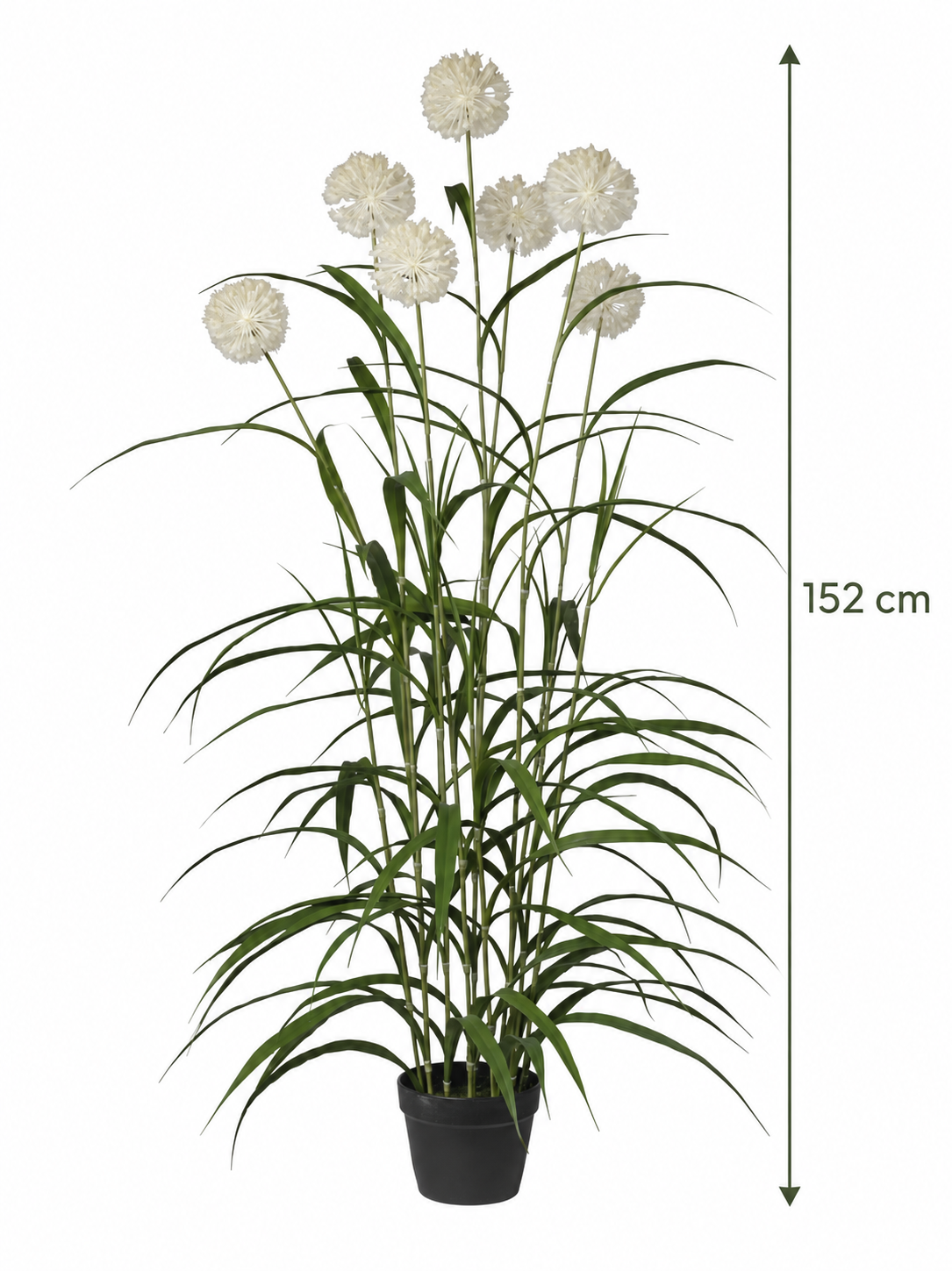 Art. Pianta Agapanthus X7 152cm - Cream